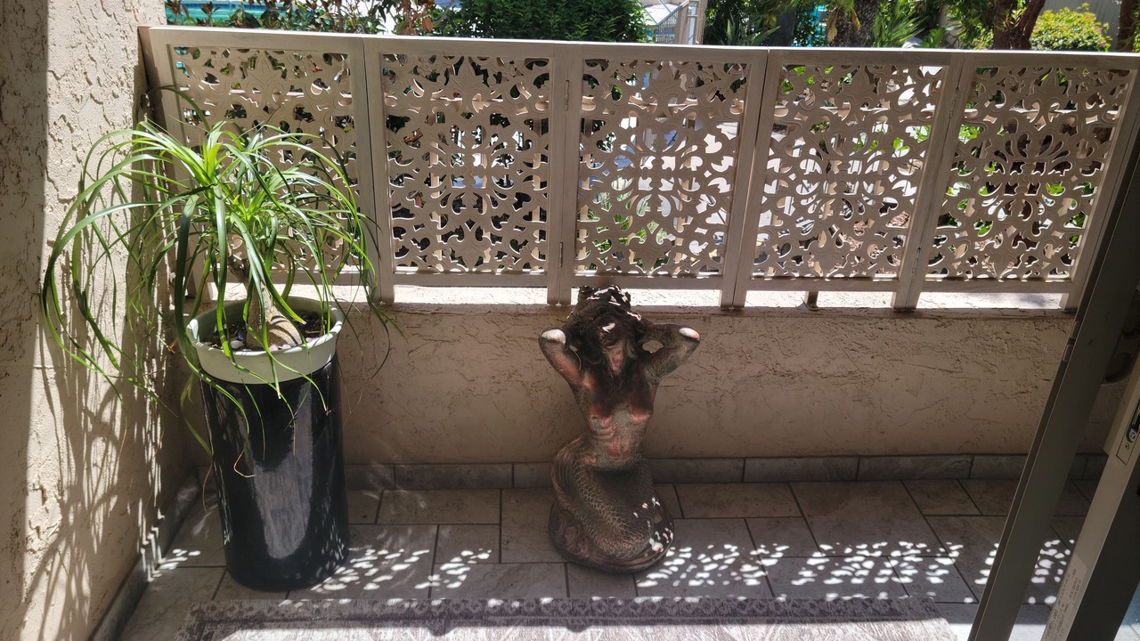 Photo of Outdoor in San Carlos