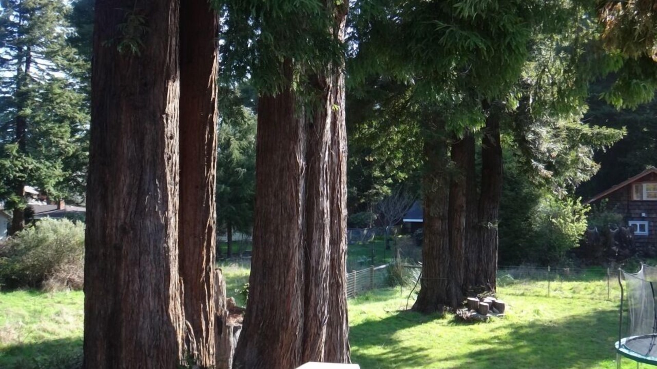 Photo of Outdoor in Eureka