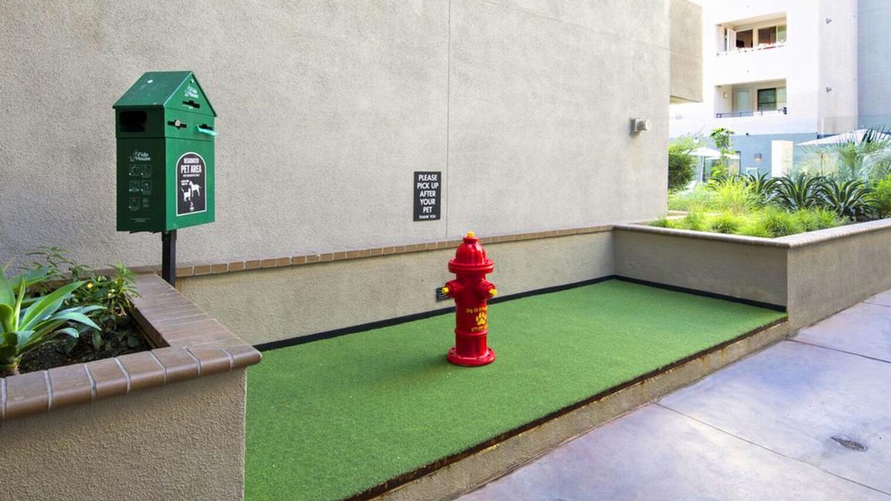 Photo of Outdoor in Hollywood