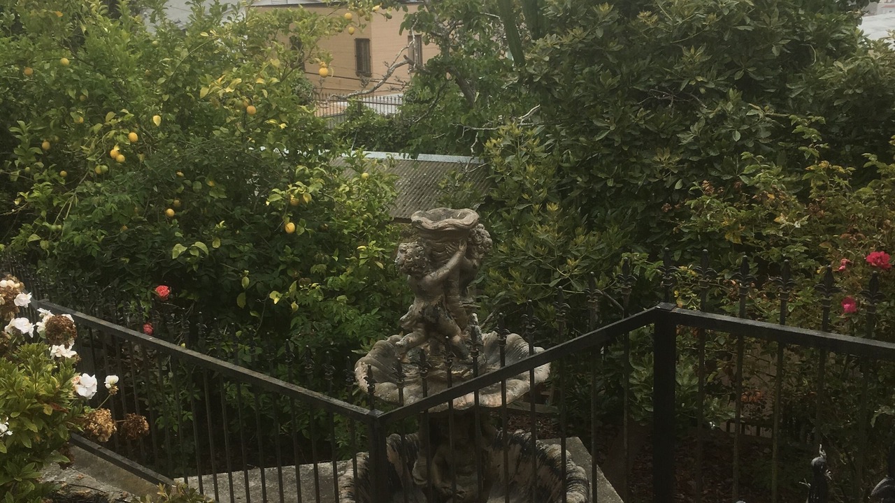 Photo of Outdoor in Mount Davidson Manor