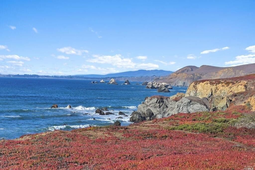 Photo of Others in Dillon Beach