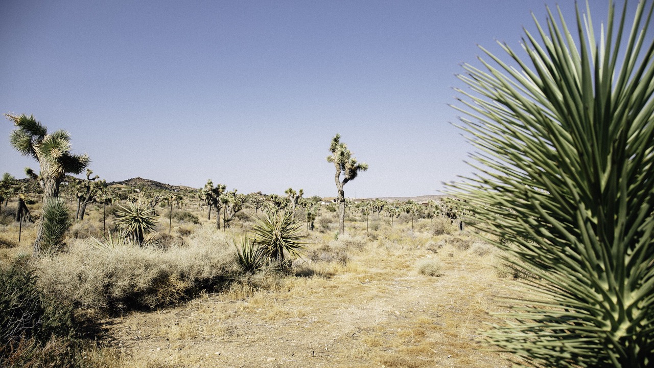Photo of Outdoor in Pioneertown