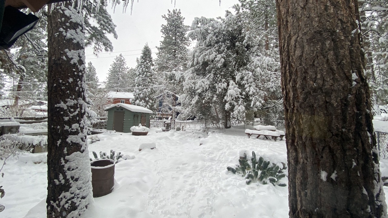 Photo of Outdoor in Wrightwood