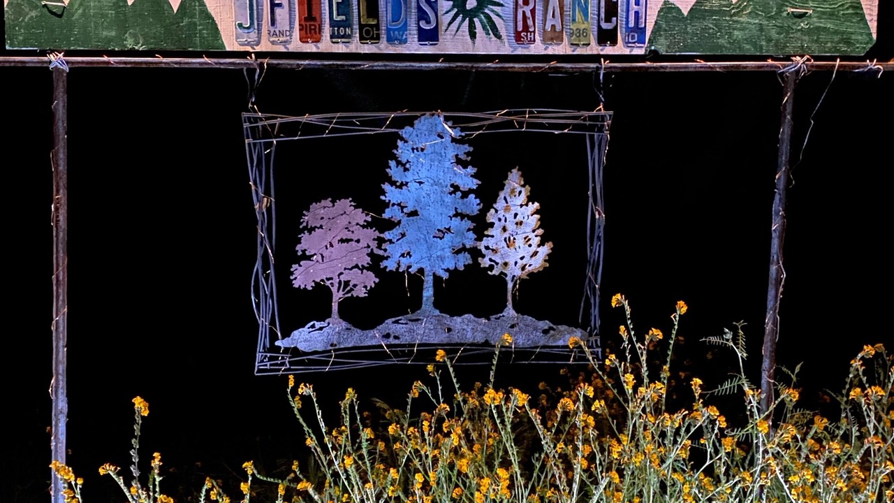 Photo of Others in Squaw Valley