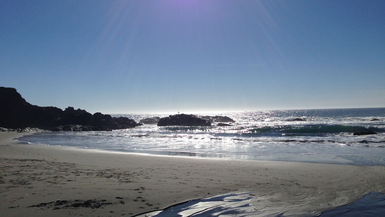 Photo of Others in Sea Ranch