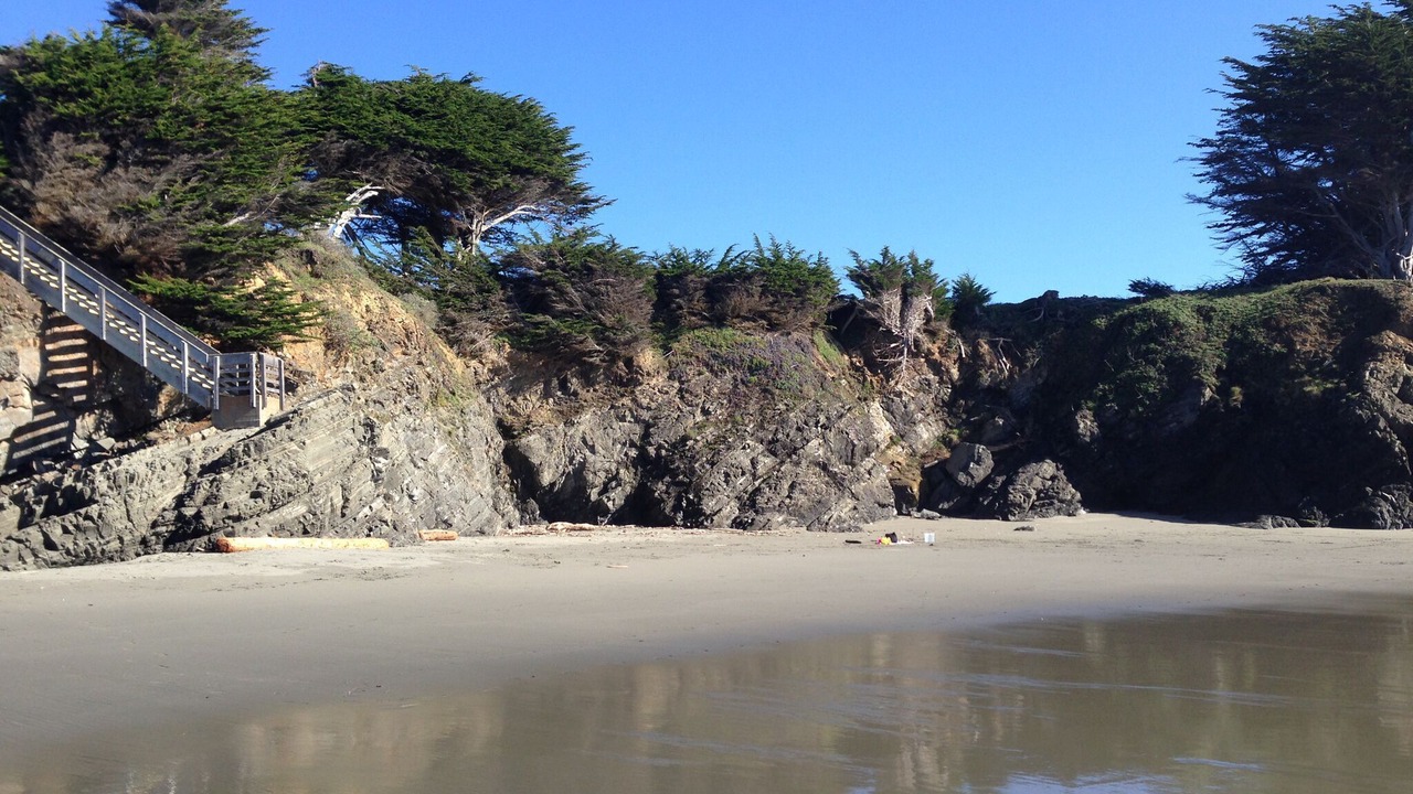 Photo of Others in Sea Ranch