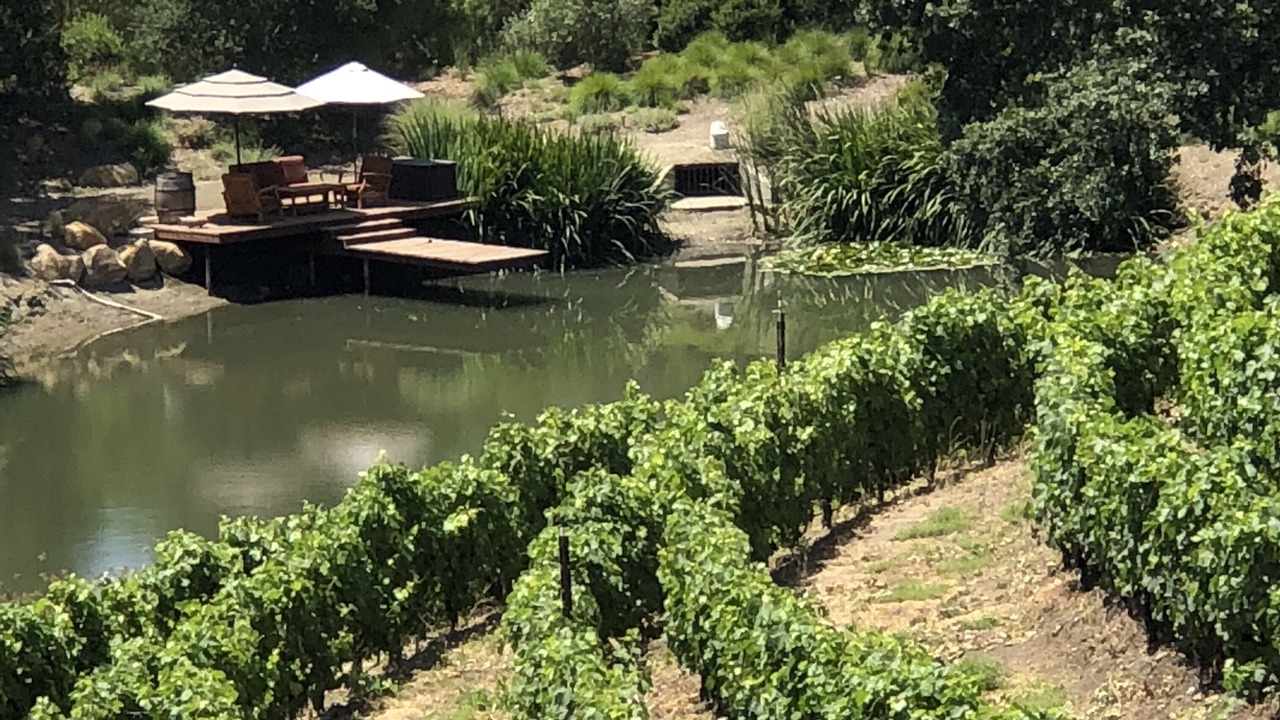 Photo of Others in Santa Ynez