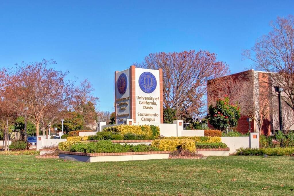 Photo of Outdoor in North Oak Park