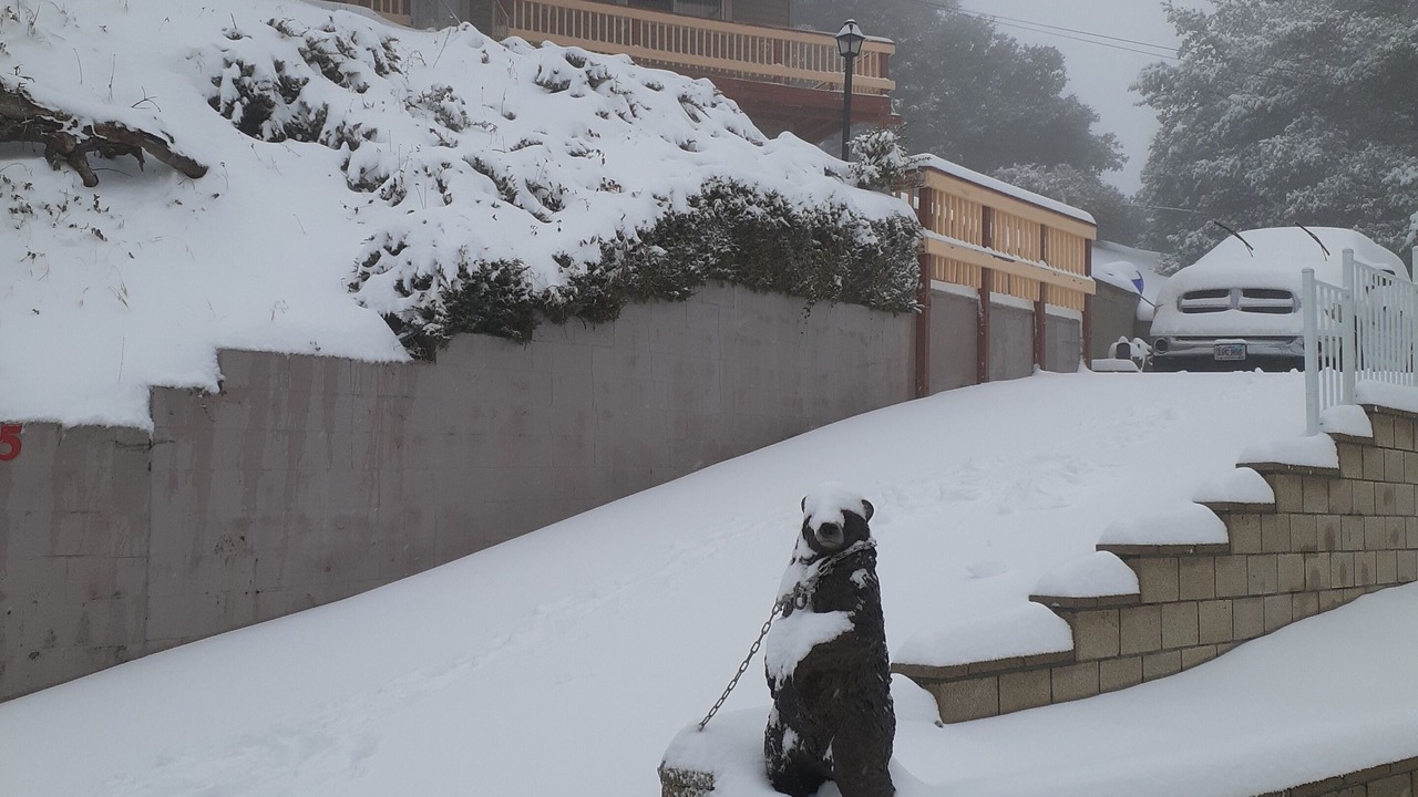 Photo of Others in Crestline