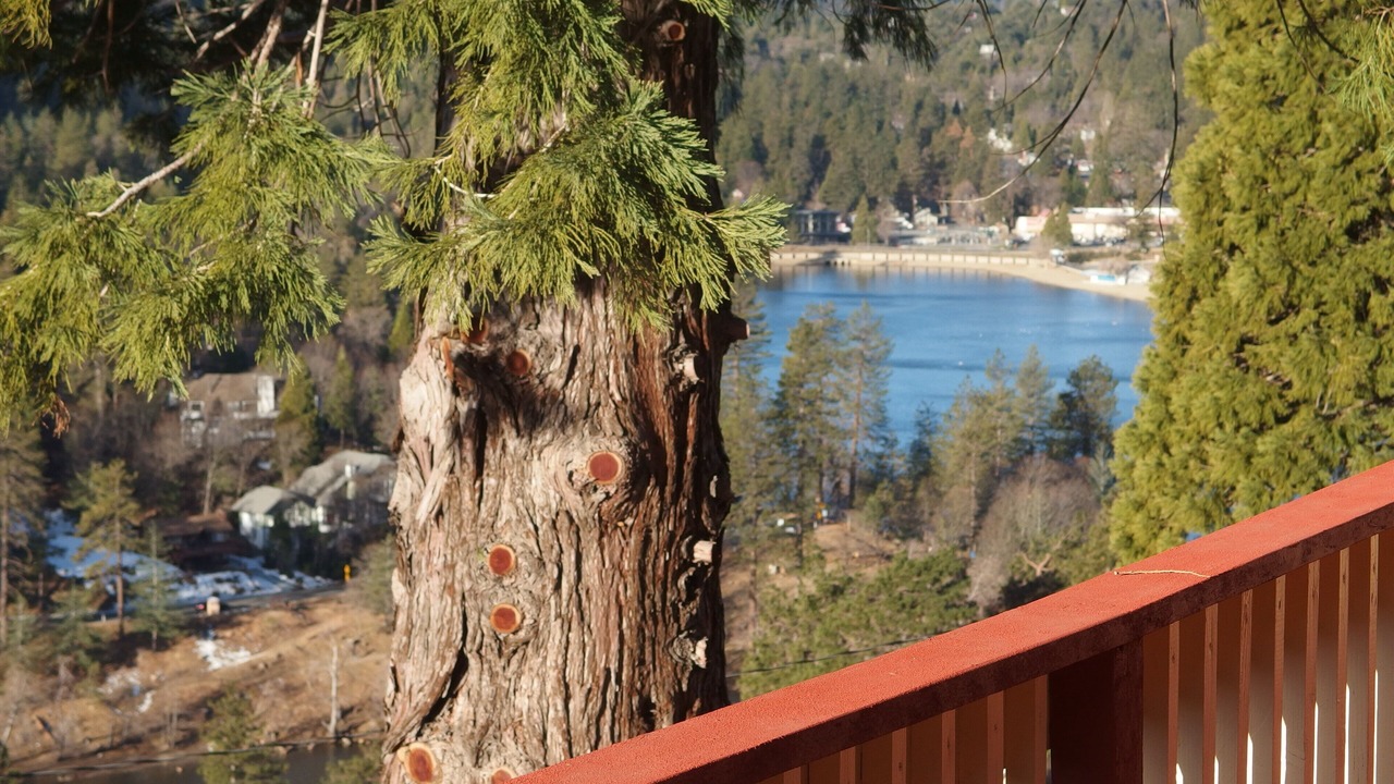 Photo of Outdoor in Crestline