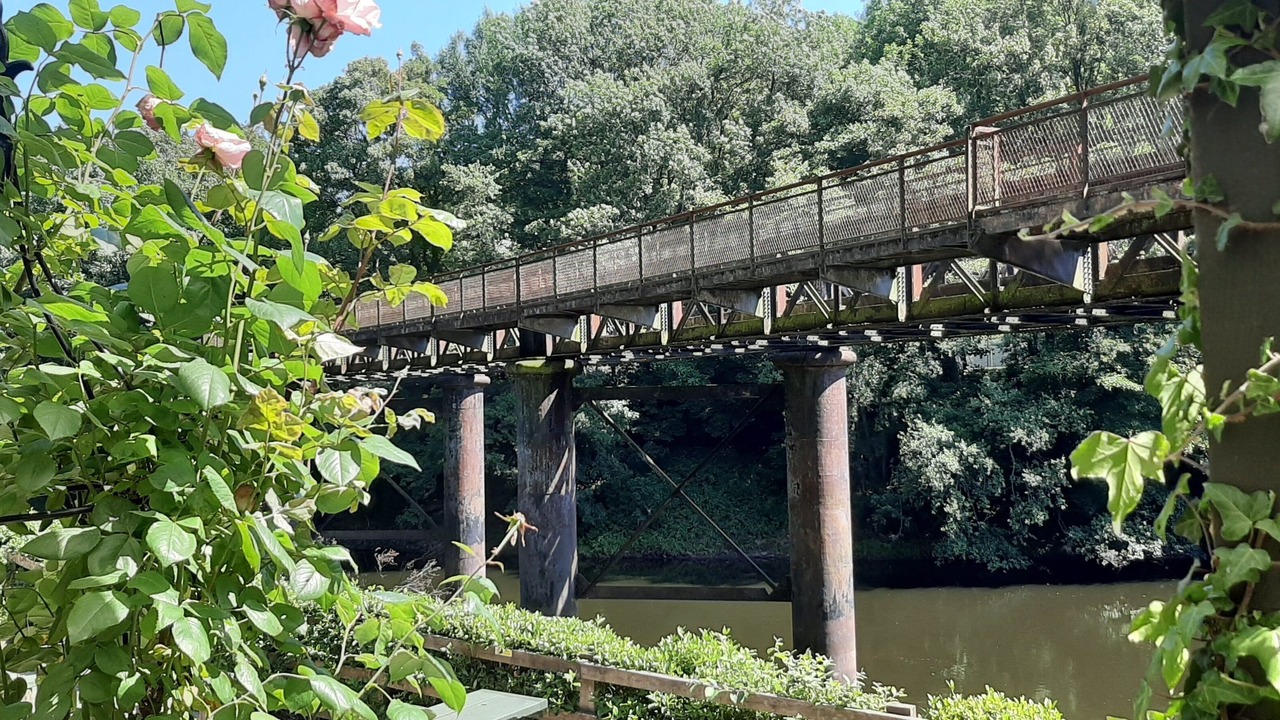 Photo of Others in Penallt