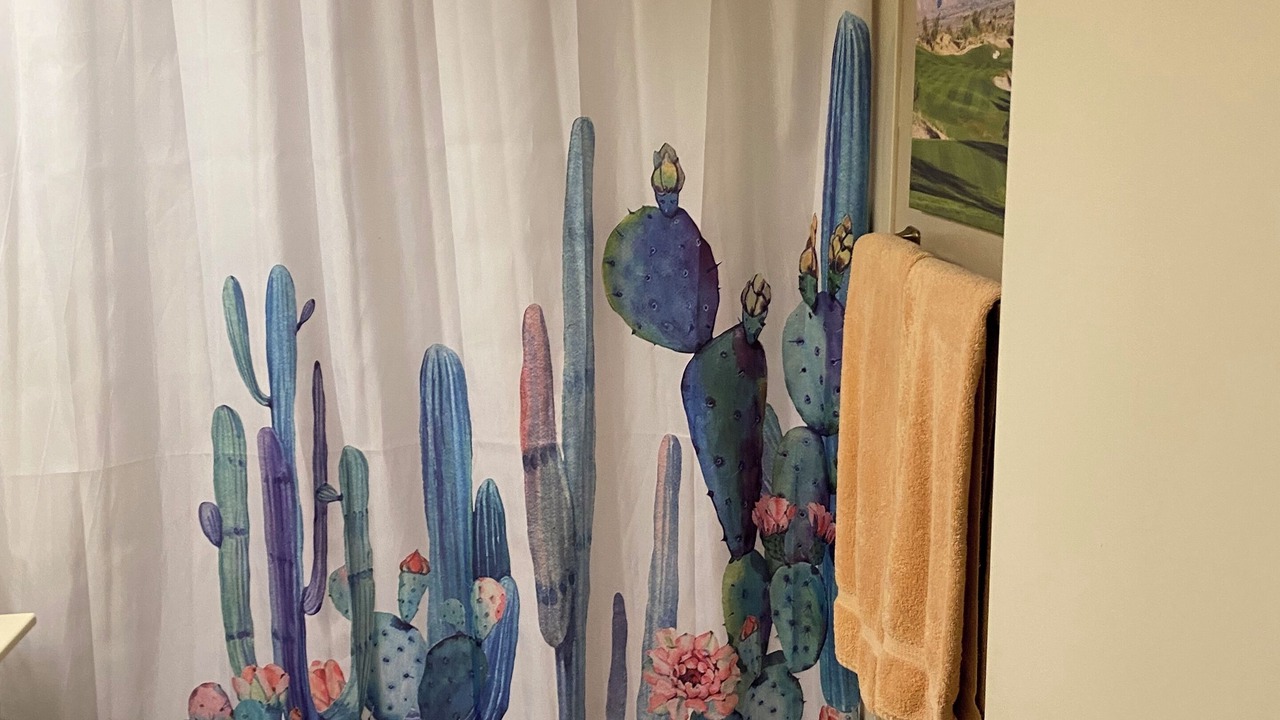 Photo of Bathroom in Borrego Springs