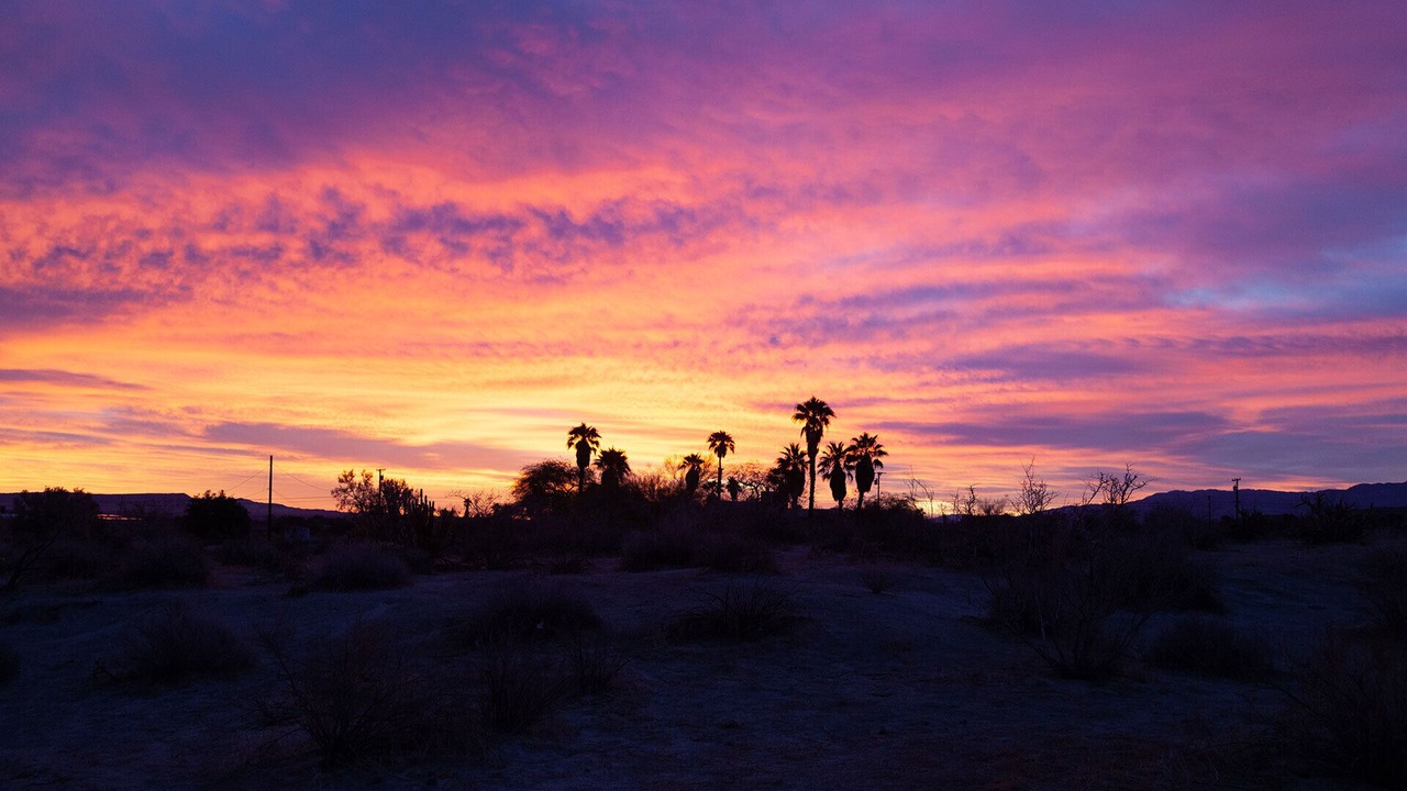 Photo of Others in Borrego Springs