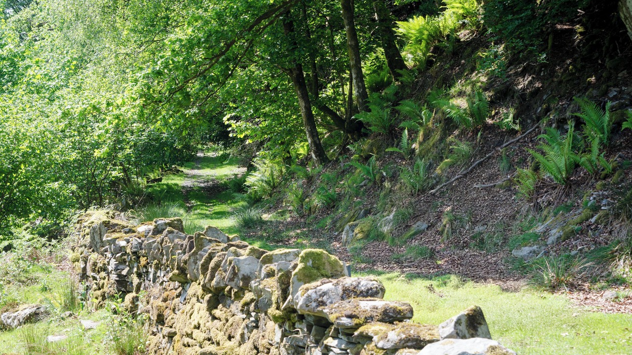 Photo of Outdoor in Elterwater