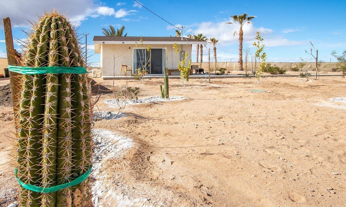 Photo of Outdoor in Wonder Valley