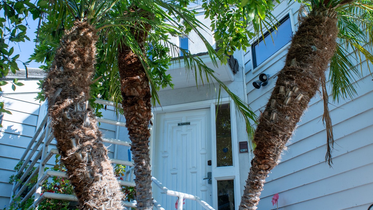 Photo of Outdoor in Sunset Park