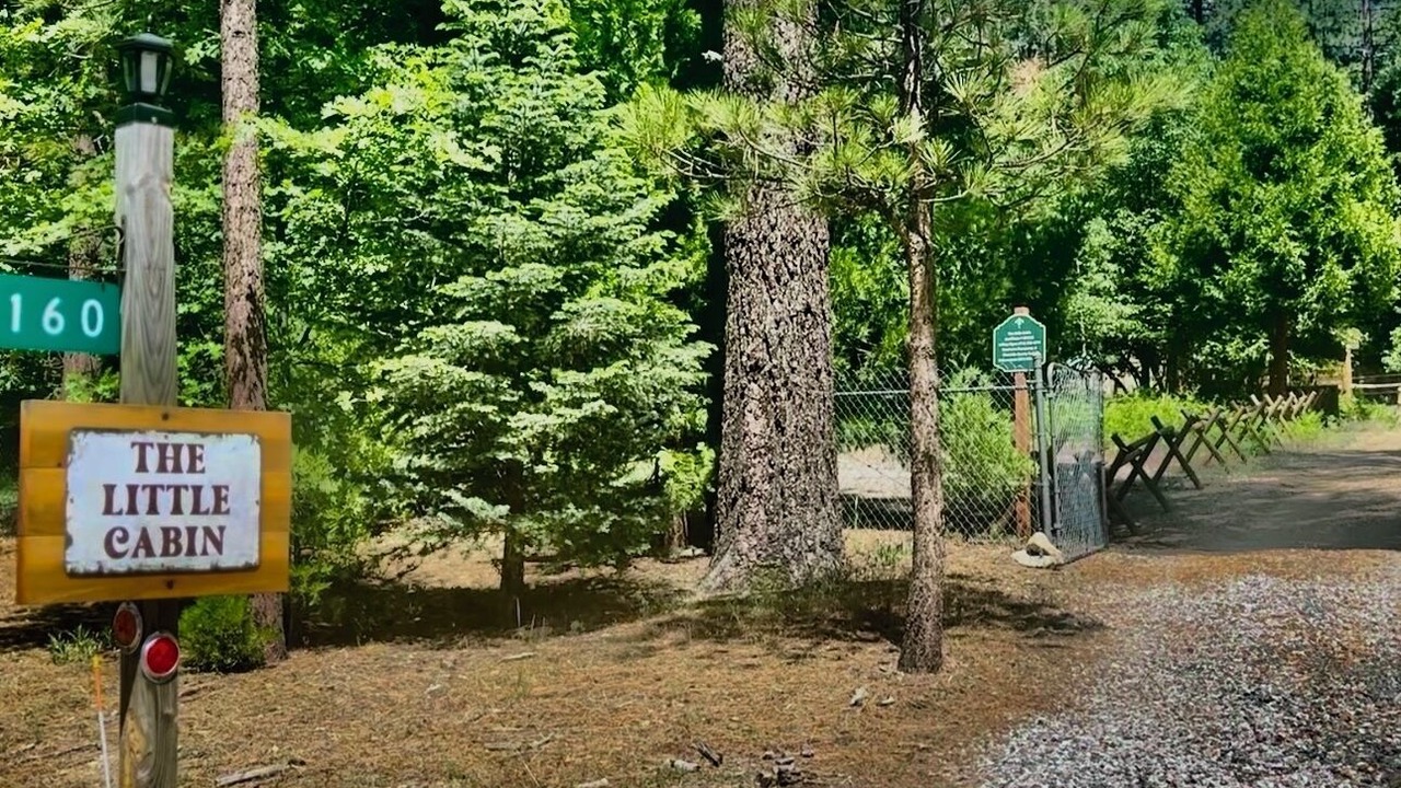 Photo of Others in Fern Valley