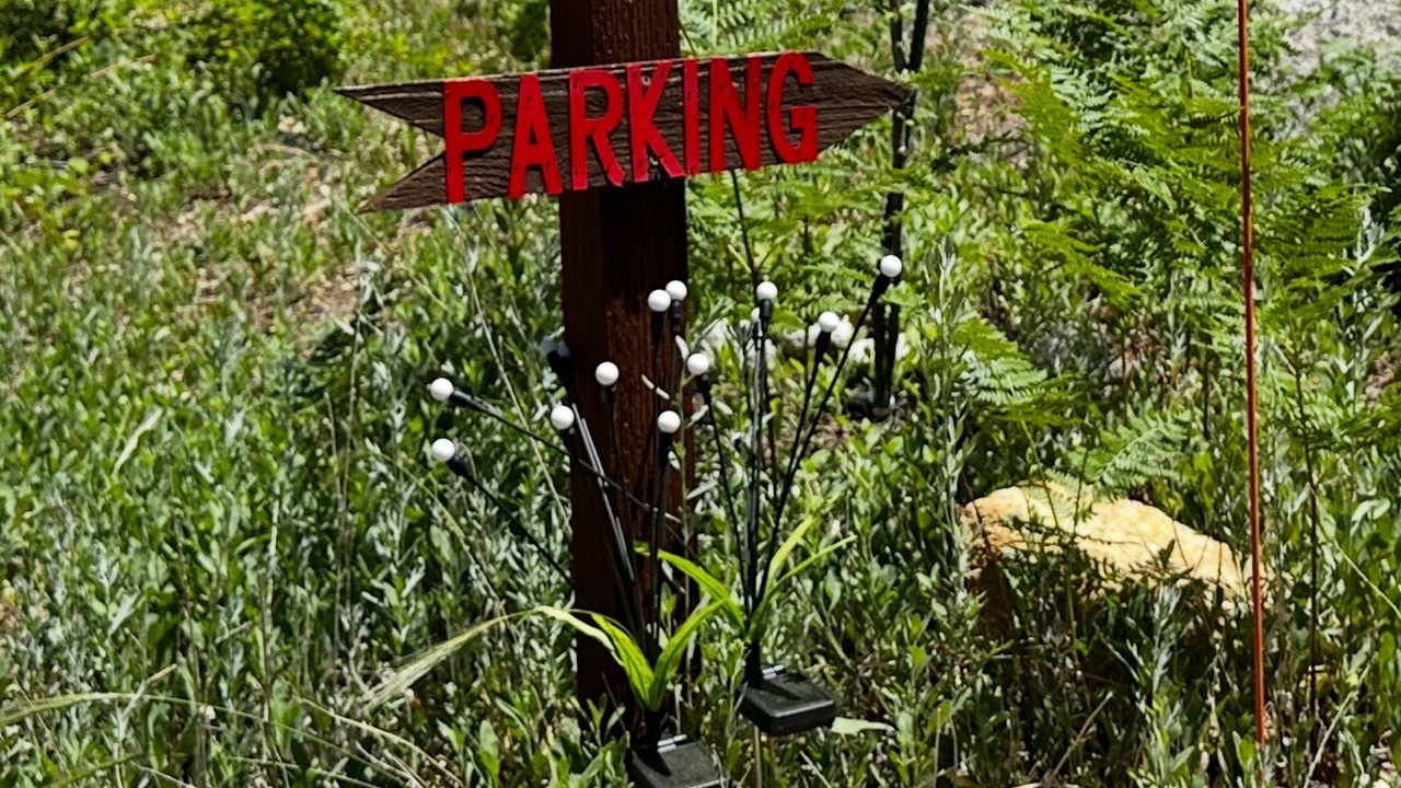 Photo of Outdoor in Fern Valley