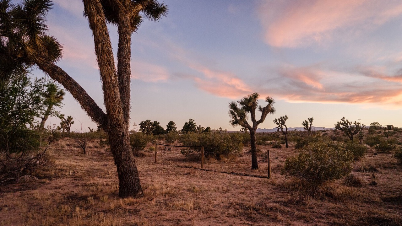Photo of Outdoor in Landers