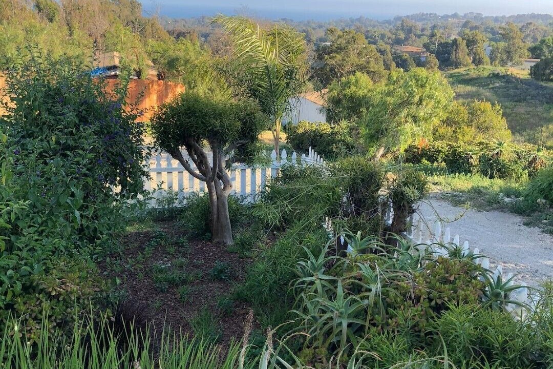 Photo of Outdoor in Central Malibu