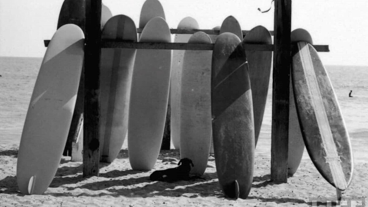 Photo of Others in Central Malibu