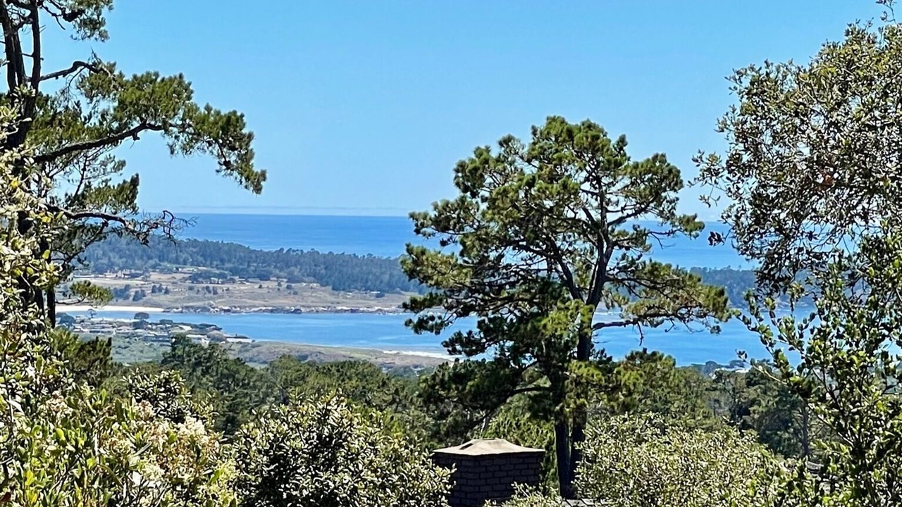 Photo of Others in Northeast Carmel
