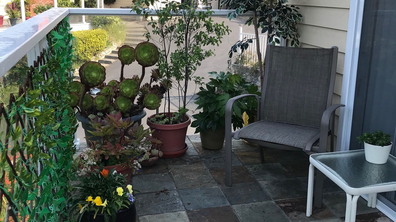 Photo of Patio Balcony in Eureka
