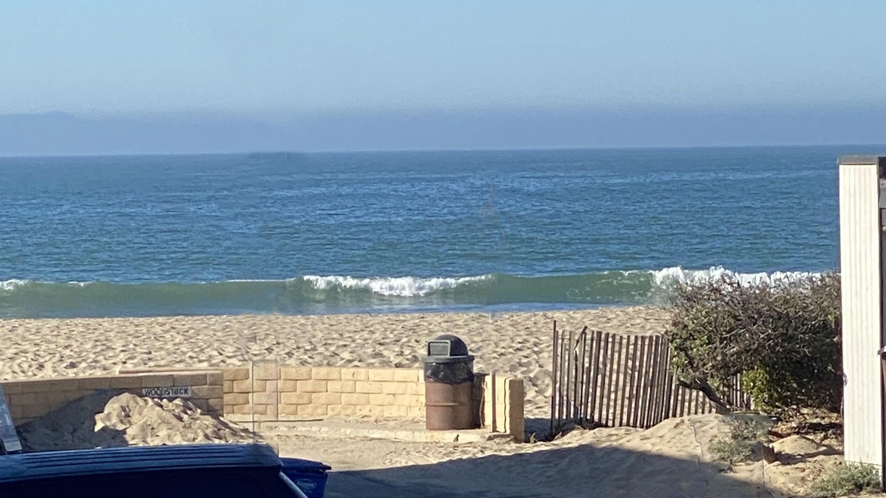 Photo of Others in Pierpont Bay