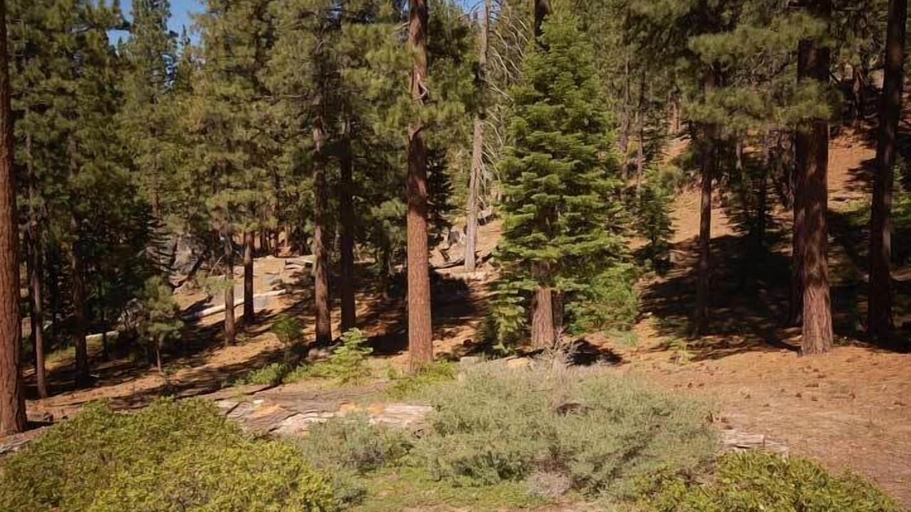 Photo of Others in Tahoe Tyrol