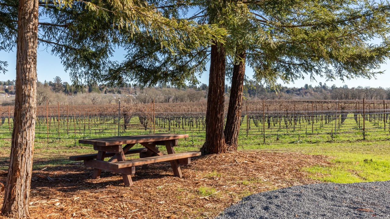 Photo of Outdoor in Graton