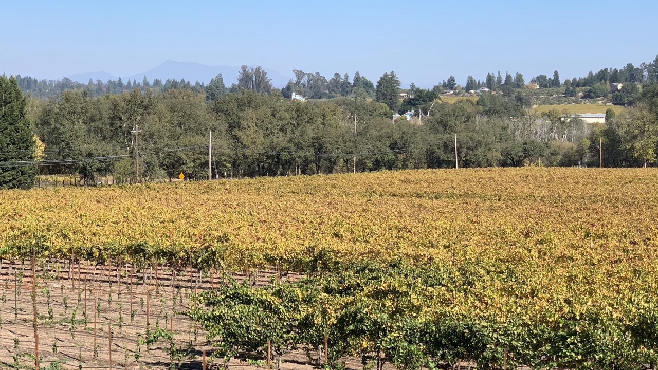Photo of Outdoor in Graton