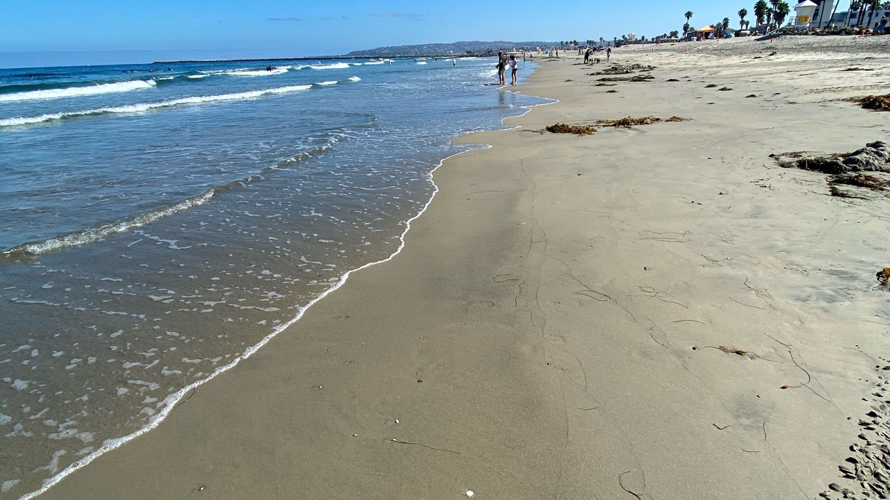 Photo of Others in Mission Beach