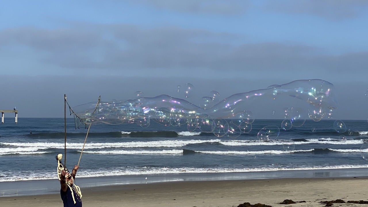 Photo of Others in Mission Beach