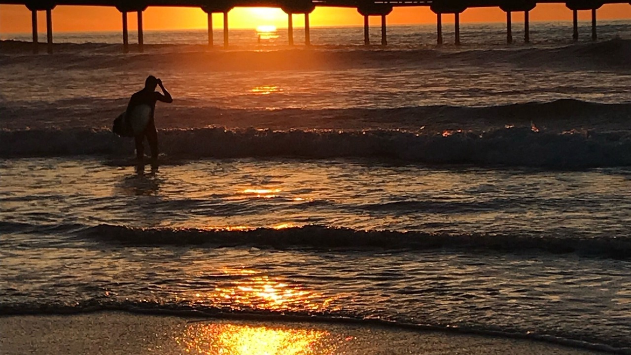 Photo of Others in Mission Beach