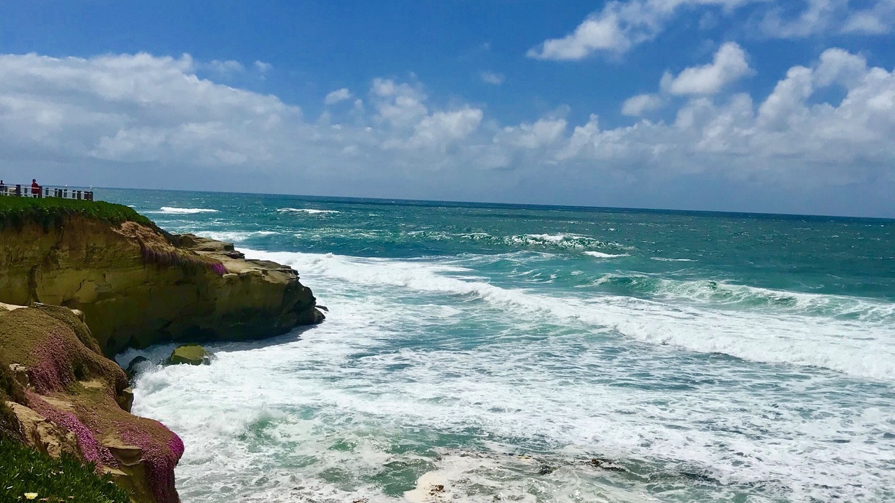 Photo of Others in Mission Beach