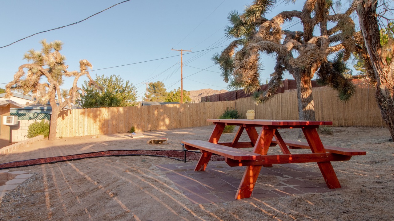 Photo of Others in Joshua Tree