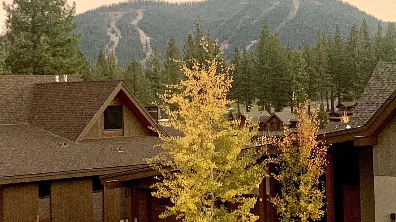 Photo of Others in Ponderosa Palisades