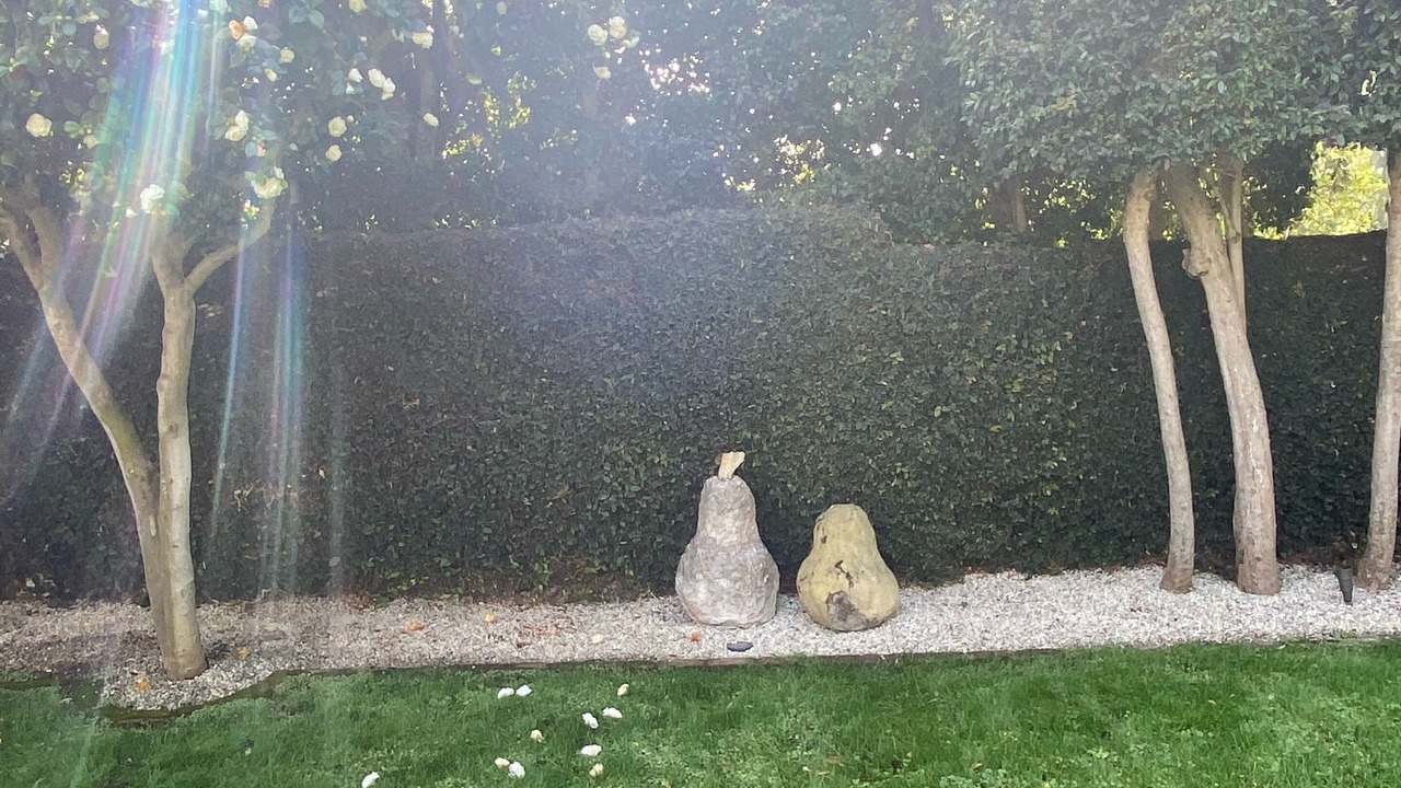 Photo of Outdoor in Brentwood