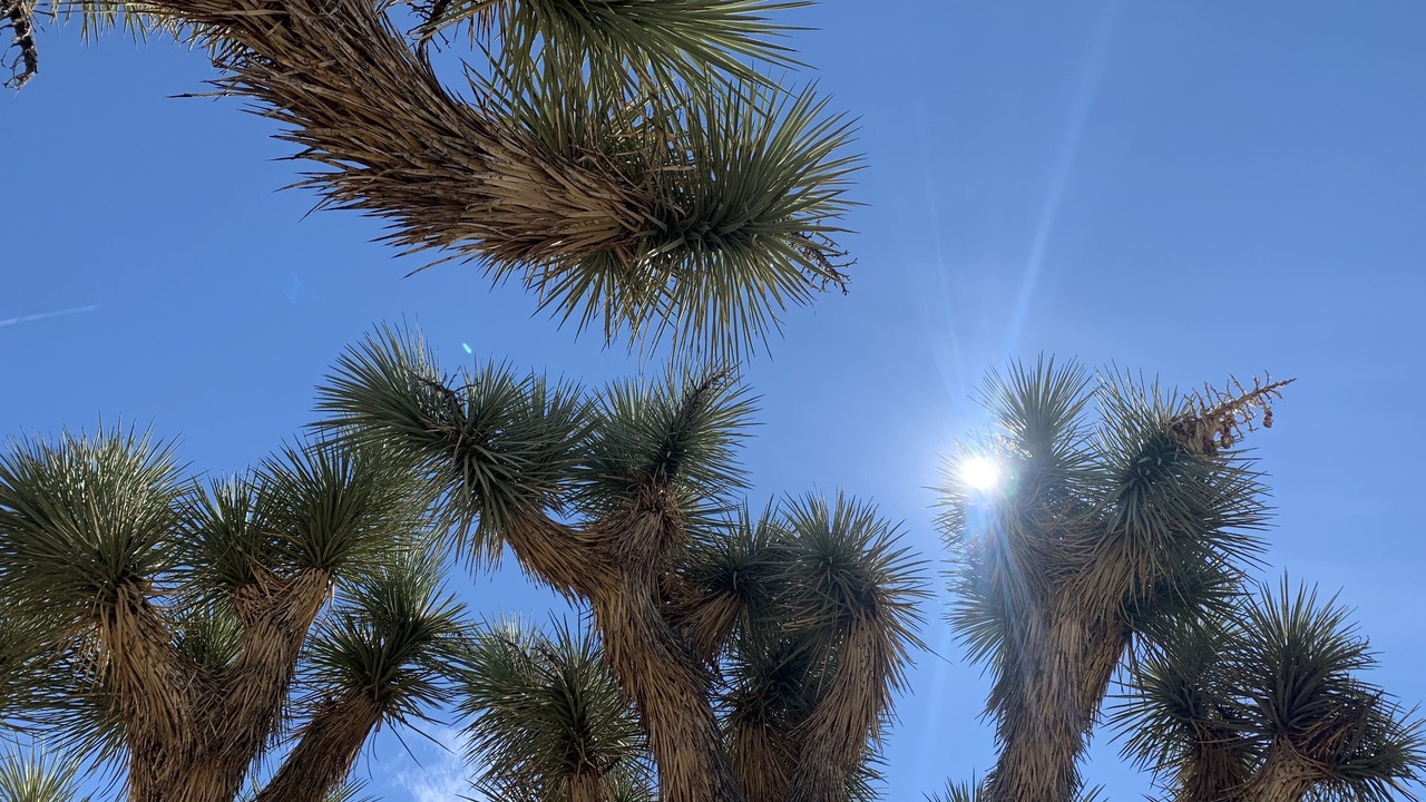 Photo of Outdoor in Yucca Valley