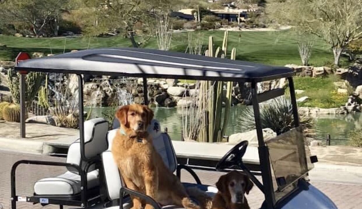 Photo of Others in Palm Desert