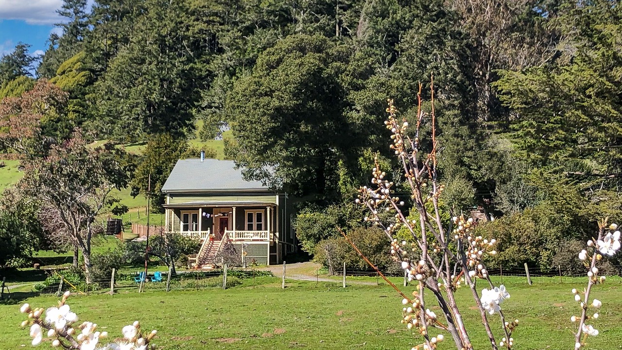 Photo of Outdoor in Cazadero