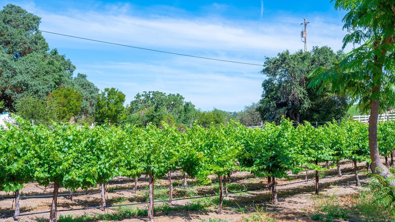 Photo of Outdoor in Templeton