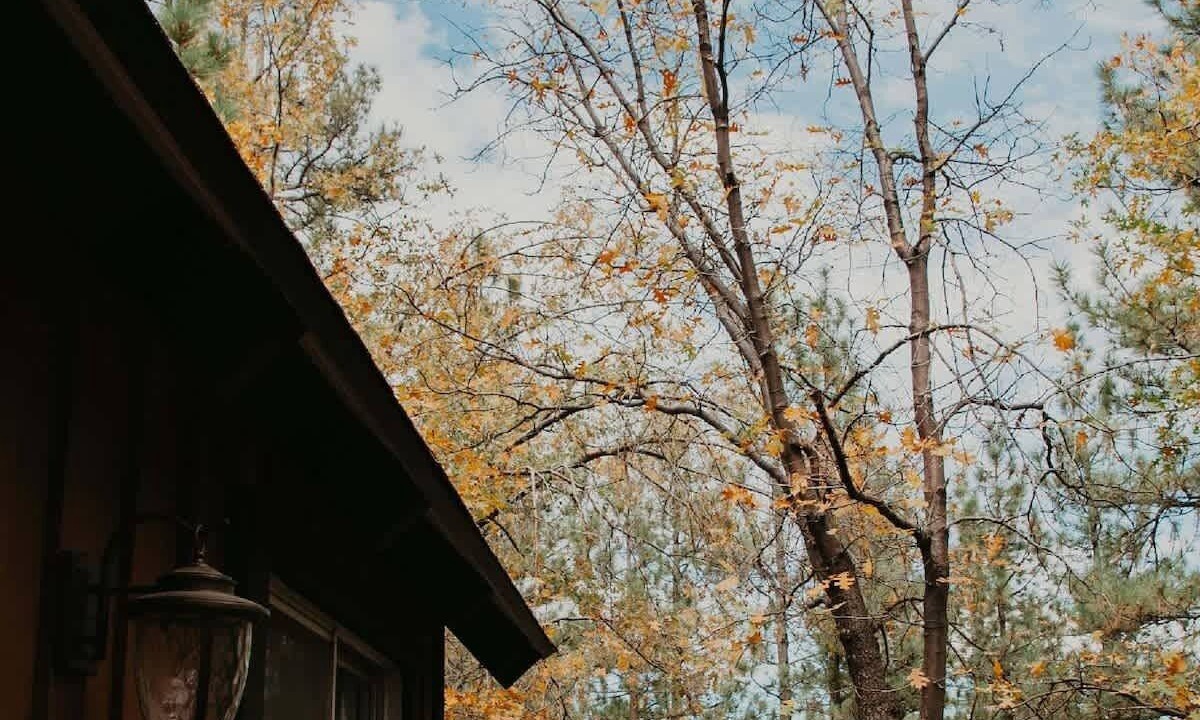Photo of Outdoor in Moonridge
