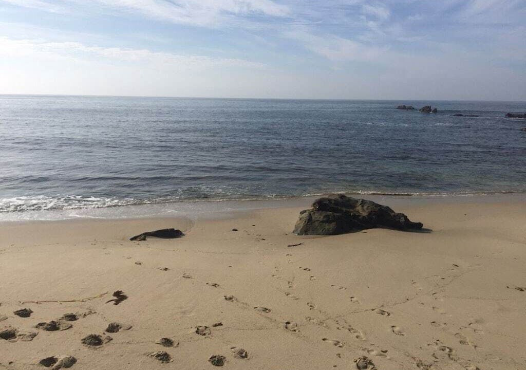 Photo of Others in Hermosa Village