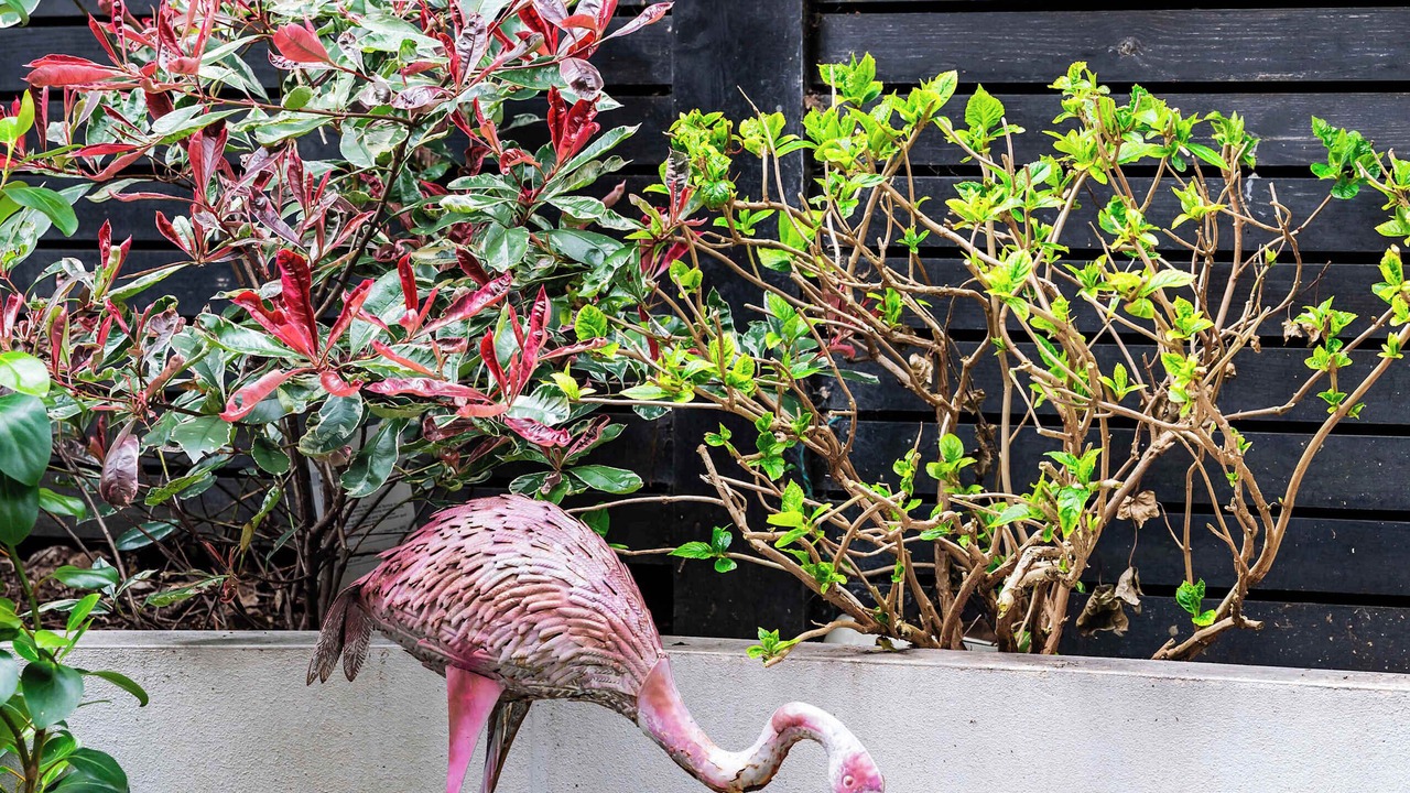 Photo of Outdoor in Hampstead