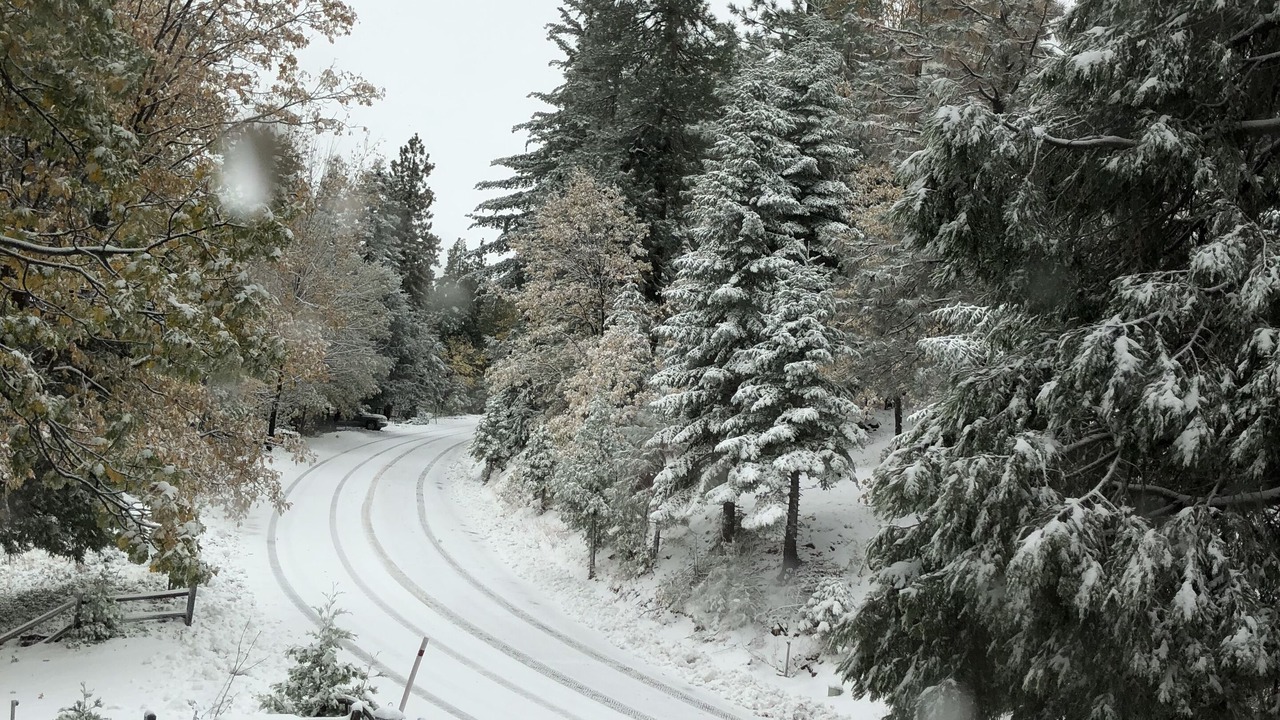 Photo of Others in Lake Arrowhead