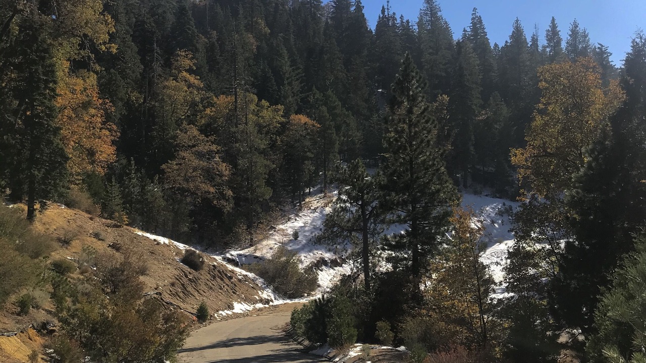 Photo of Others in Lake Arrowhead