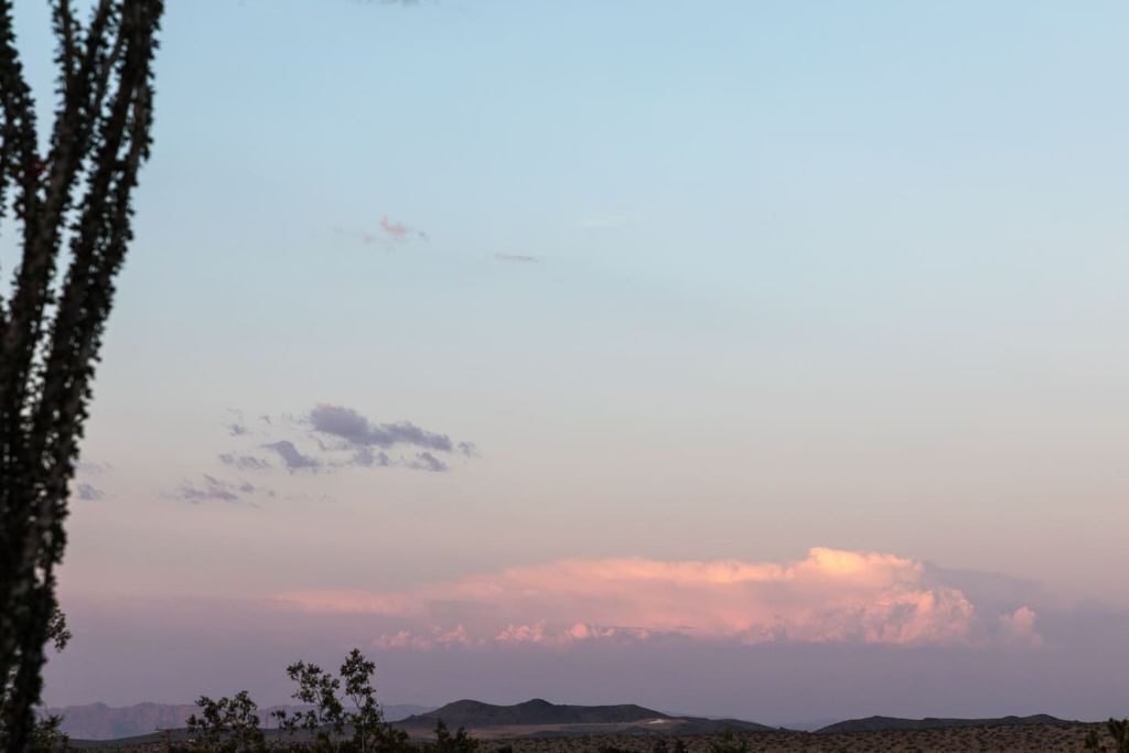 Photo of Others in Yucca Valley