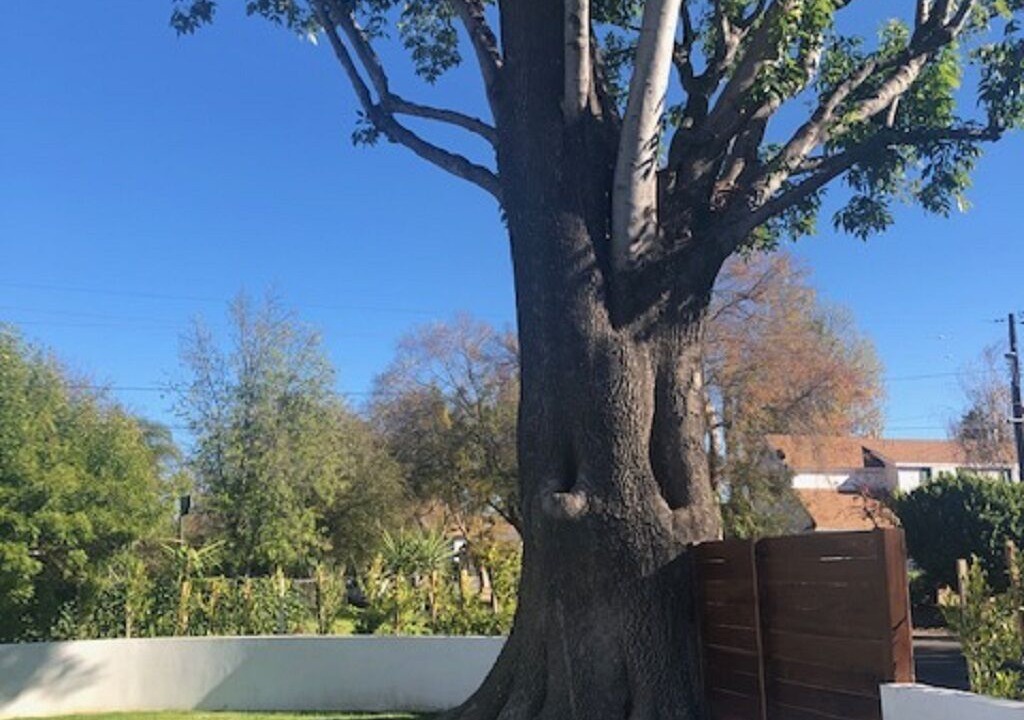 Photo of Outdoor in Sherman Oaks