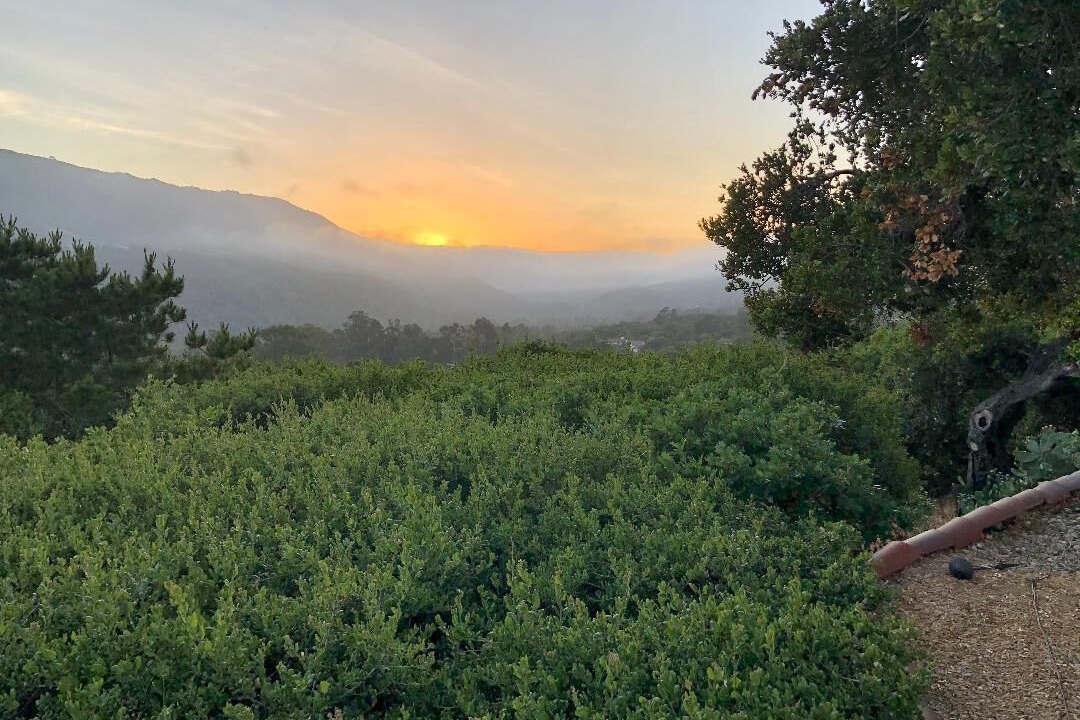 Photo of Others in Carmel Valley
